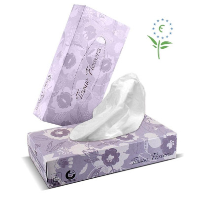 FACIAL TISSUES   2-ply rectangular box
