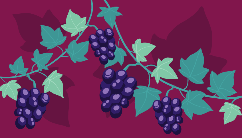 THE ANTI-AGING BENEFITS OF WINE THERAPY