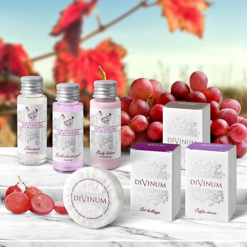 Divinum Hotel Amenities